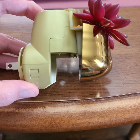 Sweet Succulent with Light Scent Plug Diffuser